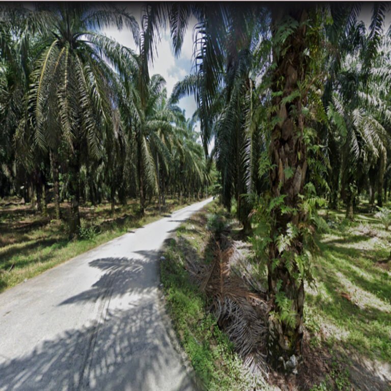 Screenshot 2024 08 02 at 3.16.45 PM 768x768